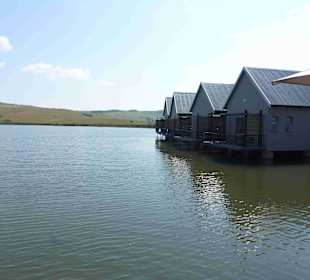 Krüger Nationalpark