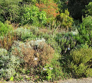 Rundgang durch den Botanischen Garten Kiel