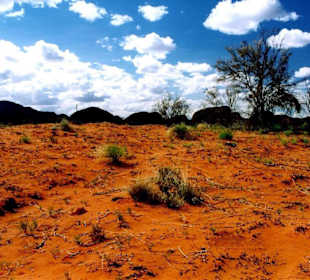 Kata Tjuta (The Olgas) ...,Das Rote Zentrum