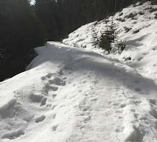 Wandern Nova Levante / Welschnofen