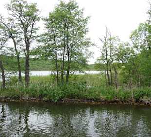 Ausflug mit dem Schiff über die Seen