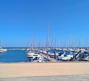 Spaziergang zum Yacht-Hafen!