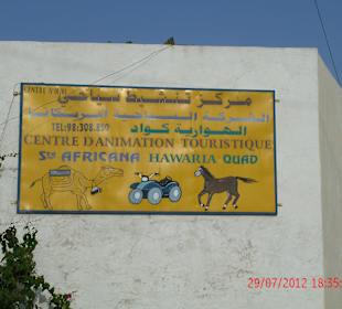 Kamel,- Quadtour
