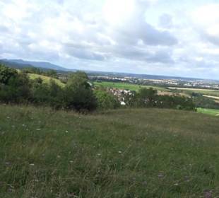 Naturschutzgebiet Zollerhalde Zimmern