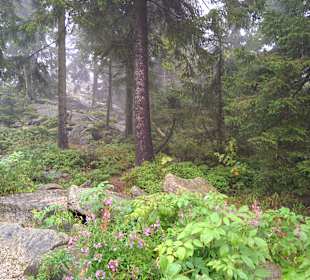 Ochsenkopf