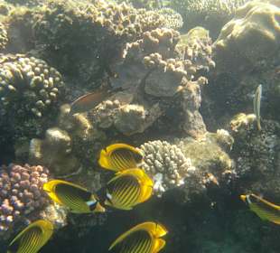 Am Riff einfach toll