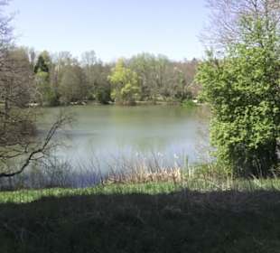 Sport- und Freizeitpark Markwasen