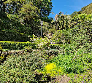Botanischer Garten Wellington