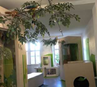 Museum Natur und Mensch