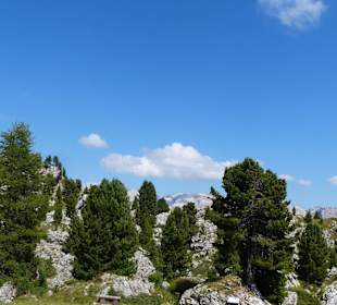 Schöne Landschaft