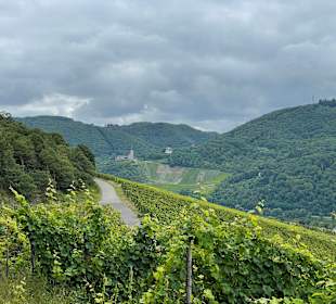 Wandern Bernkastel-Kues