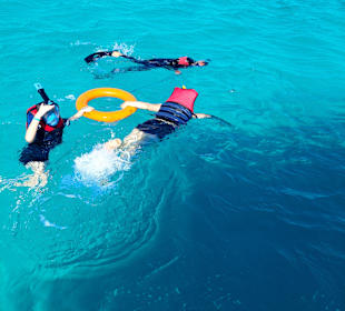 Schnorcheln 