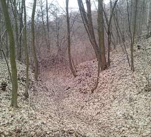 Wąwóz Korzeniowy dół