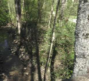 Sport- und Freizeitpark Markwasen