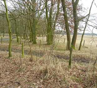 Naturschutzgebiet Boberger Niederung