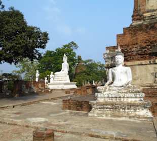 Wat Yai Chai Mongkon