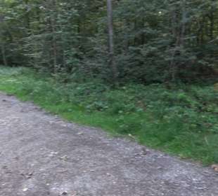 Wanderparkplatz Reutlinger Weg