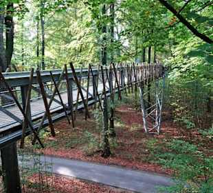 Impressionen vom Baumwipfelpfad Bad Iburg