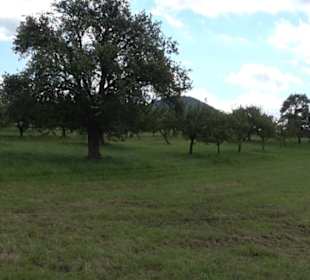 Hochgehnießen - Premiumspazierwanderweg