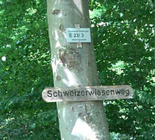 Waldlehrpfad St. Johann