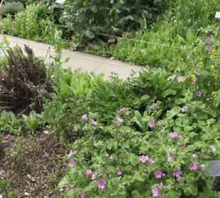 FIFA World Football Museum