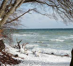 Wanderung zum Königsstuhl