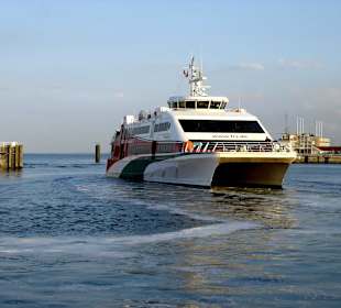 Der Katamaran bei der Einfahrt in den Hafen