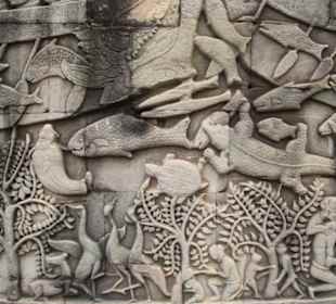 ...Bilder erzählen...