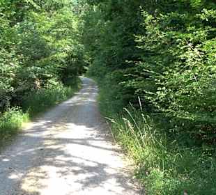 Rundwanderung Klingenbachtal - Sulzbachsee