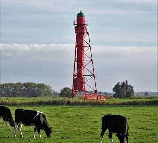Leuchttürme auf der Wiese - typisch Harriersand