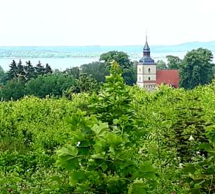 Ausblick Kulturmühle Benz