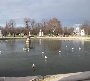 Parco vicino al Louvre