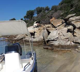 Motorbootstour zur Blauen Lagune mit Ziegenherde