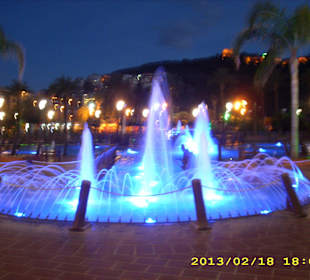 Palmenpark am Cleopatrastrand