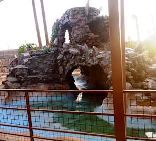 Im Aquarium