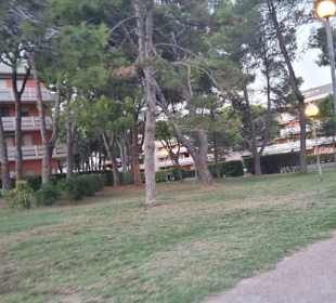 Entlang der Ferienwohnungen