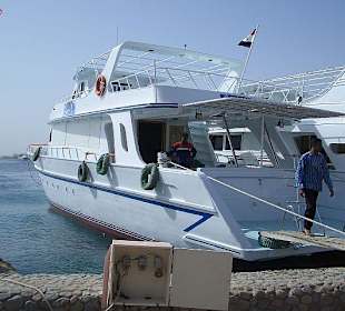 Delfinfahrt mit SimSim