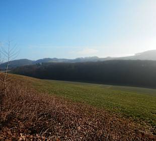 Hinter den Bäumen sind die Häuser