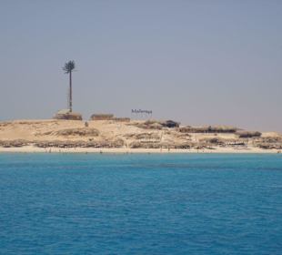 Giftun- Insel