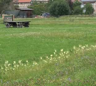 Wanderweg Ammerbucher Gigeleswegle
