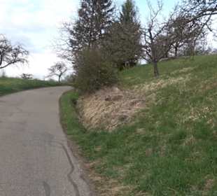 Der Grafenberg