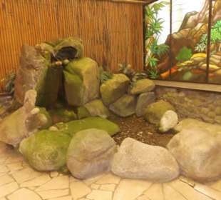 Weltvogelpark Walsrode