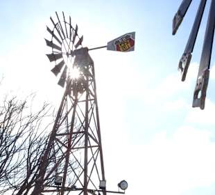 Between Dubai and Abu Dhabi