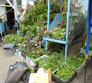 Samstag ist die ganze Stadt ein großer Markt