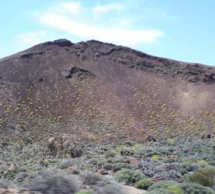 Teide Nationalpark