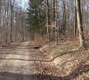 Premiumwanderweg Hohenwittlingensteig