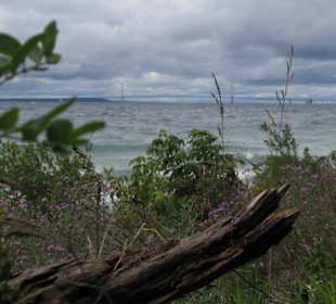 Blick von der Mackinac Island zur Mackinaw Bridge