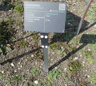 Erläuterungen der Kräuter