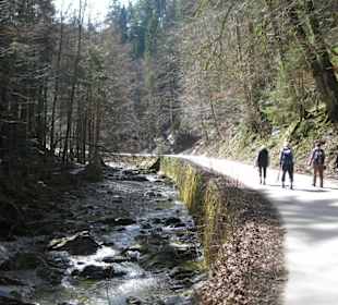 Wanderung zum Bauer in der Au