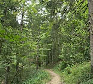 Wandern bei Reit im Winkel
